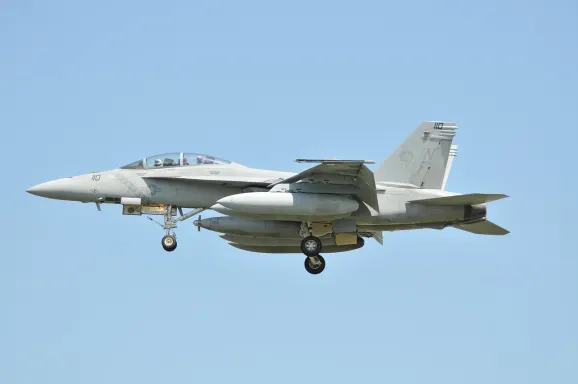 Kazino Crypto Wild Atbalsts